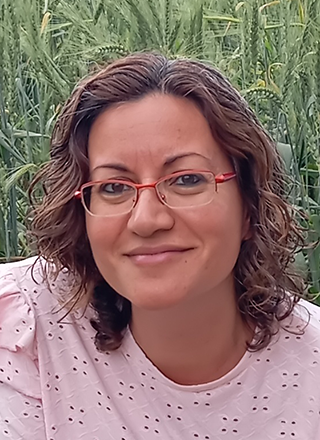 אברהם נועה