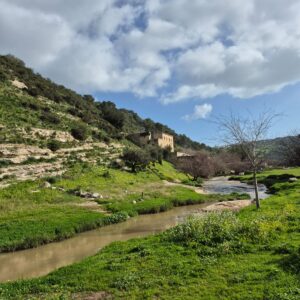 סיור מעבדה חוסן אקלימי, נחל ציפורי, 11-2-26
